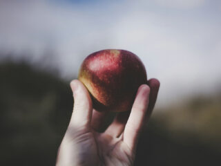 Hand mit Apfel