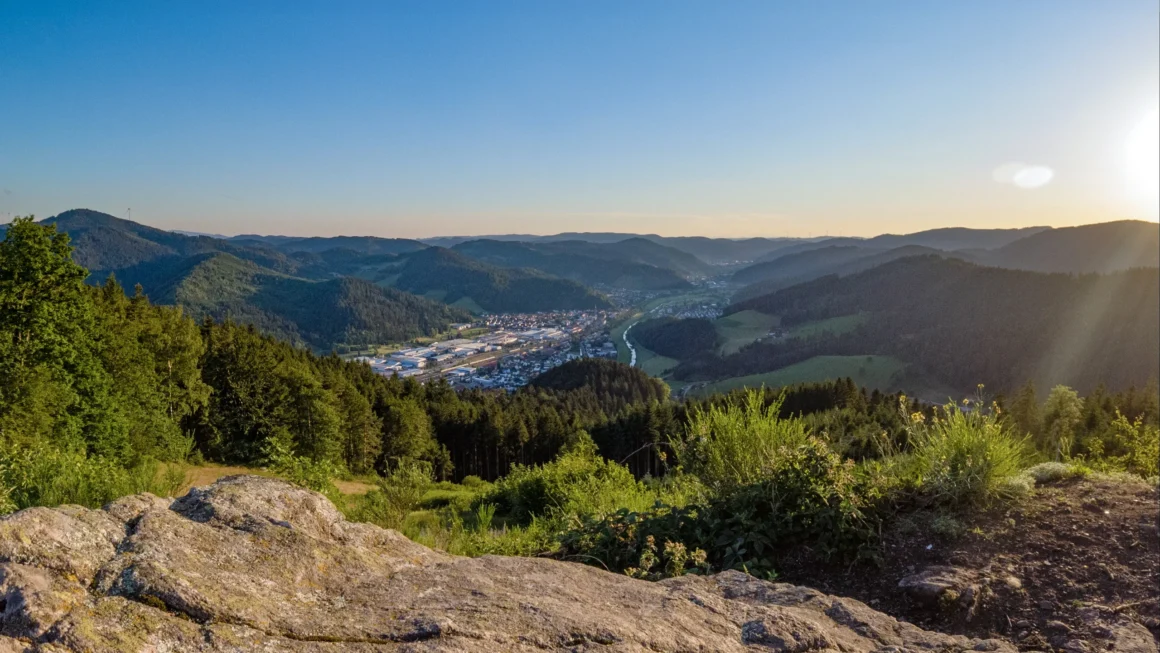 Blick aufs Kinzigtal