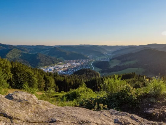Blick aufs Kinzigtal