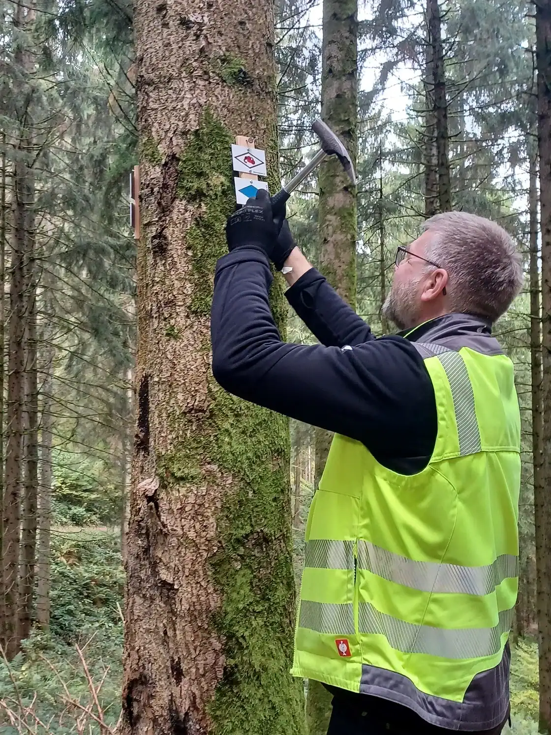 Kinzigtalsteig Wegewart bringt Wanderschilder an